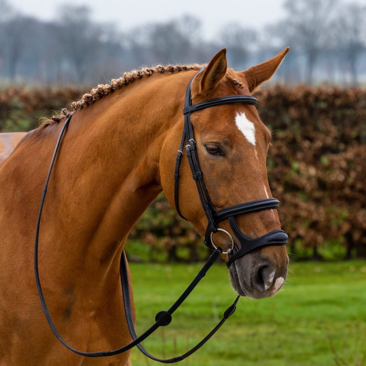Jumping Bridle