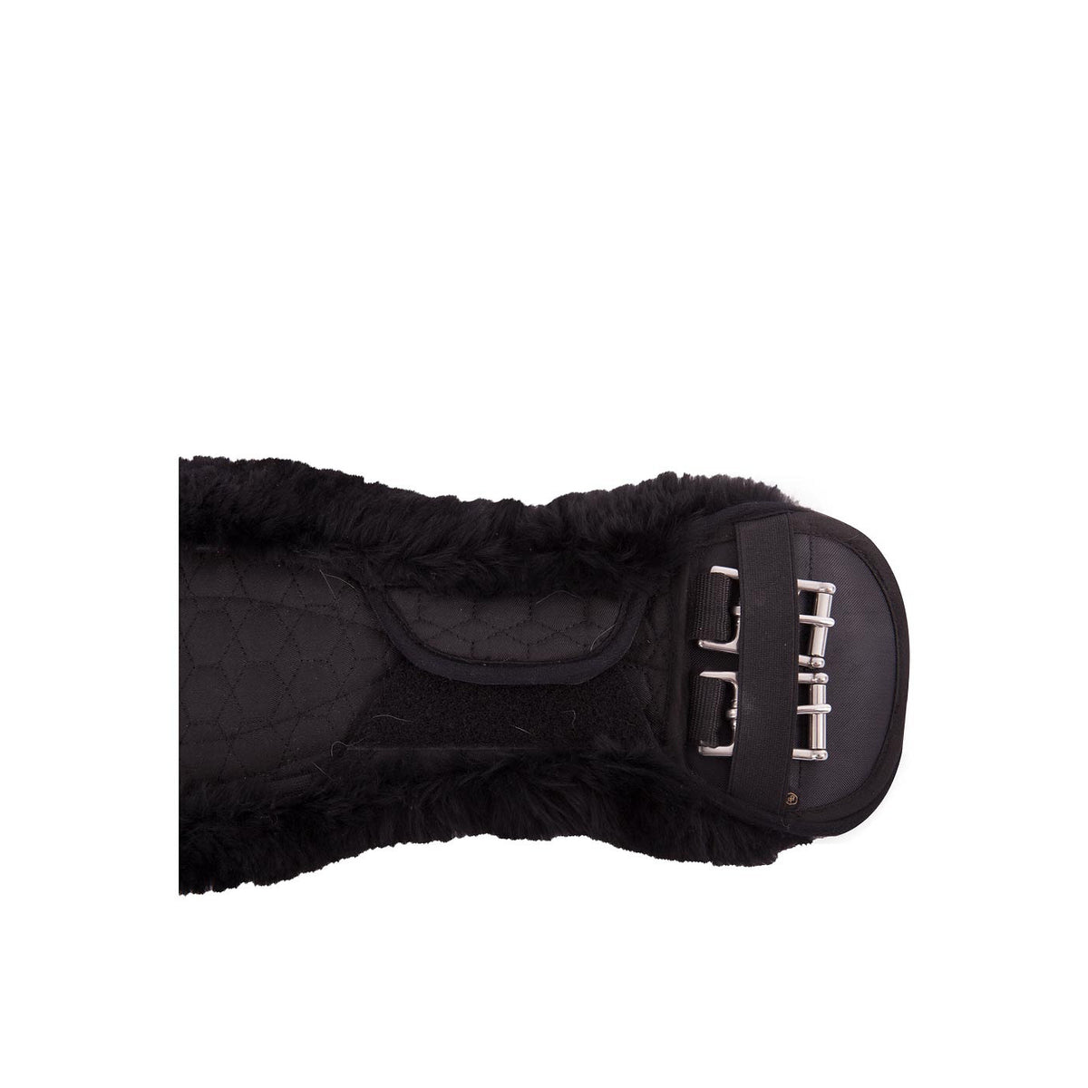BR Girth dr Cheviot