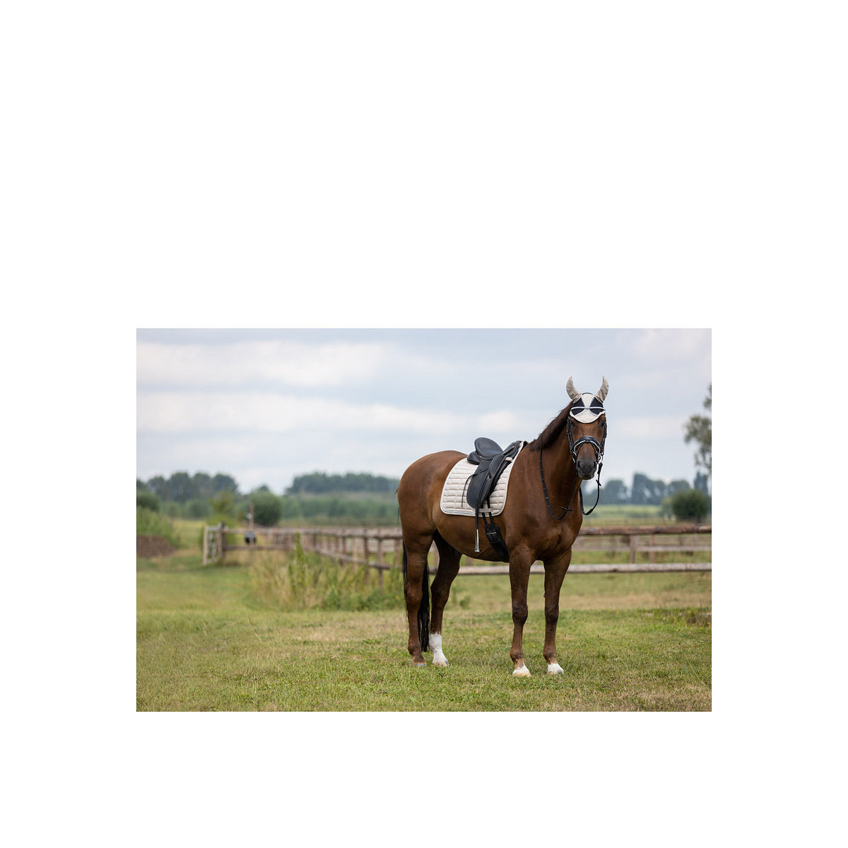 BR Saddle Pad Glamour Chic dr
