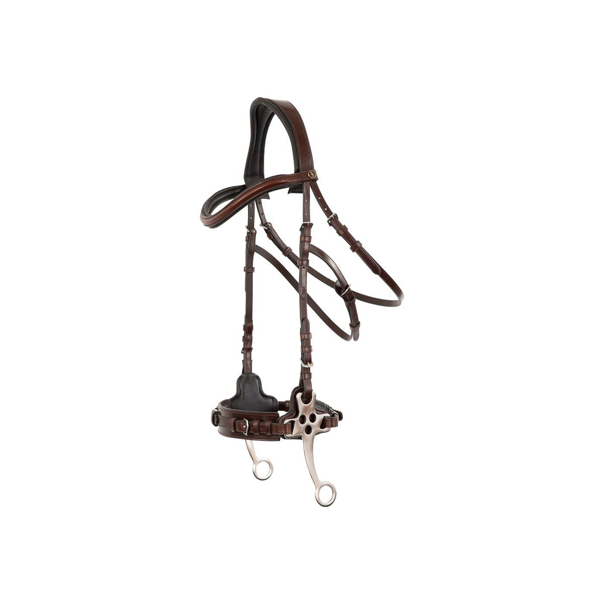 BR Bridle Lydney
