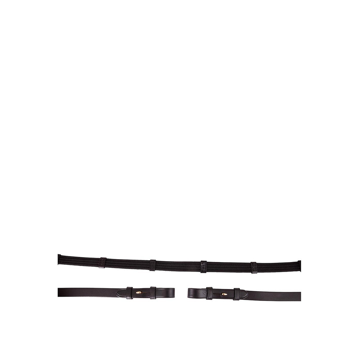 BR Web Reins