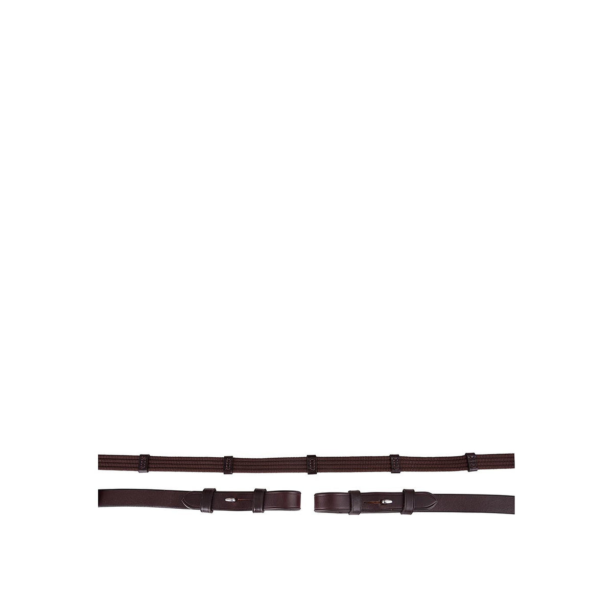 BR Web Reins