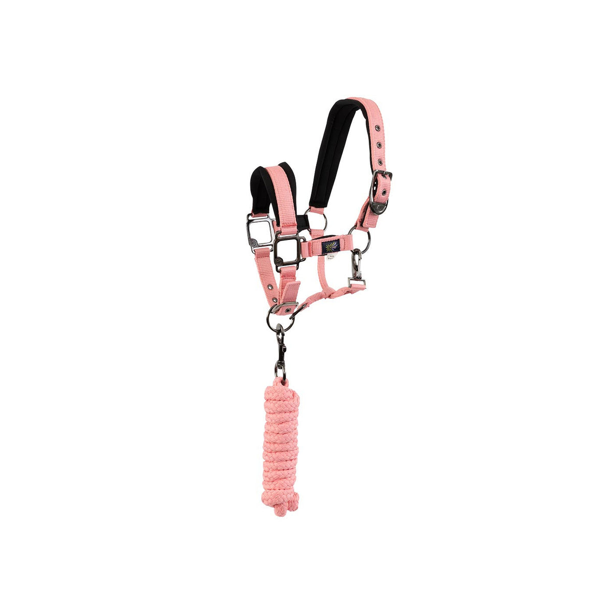 BR Mini Horse Halter with Lead Rope