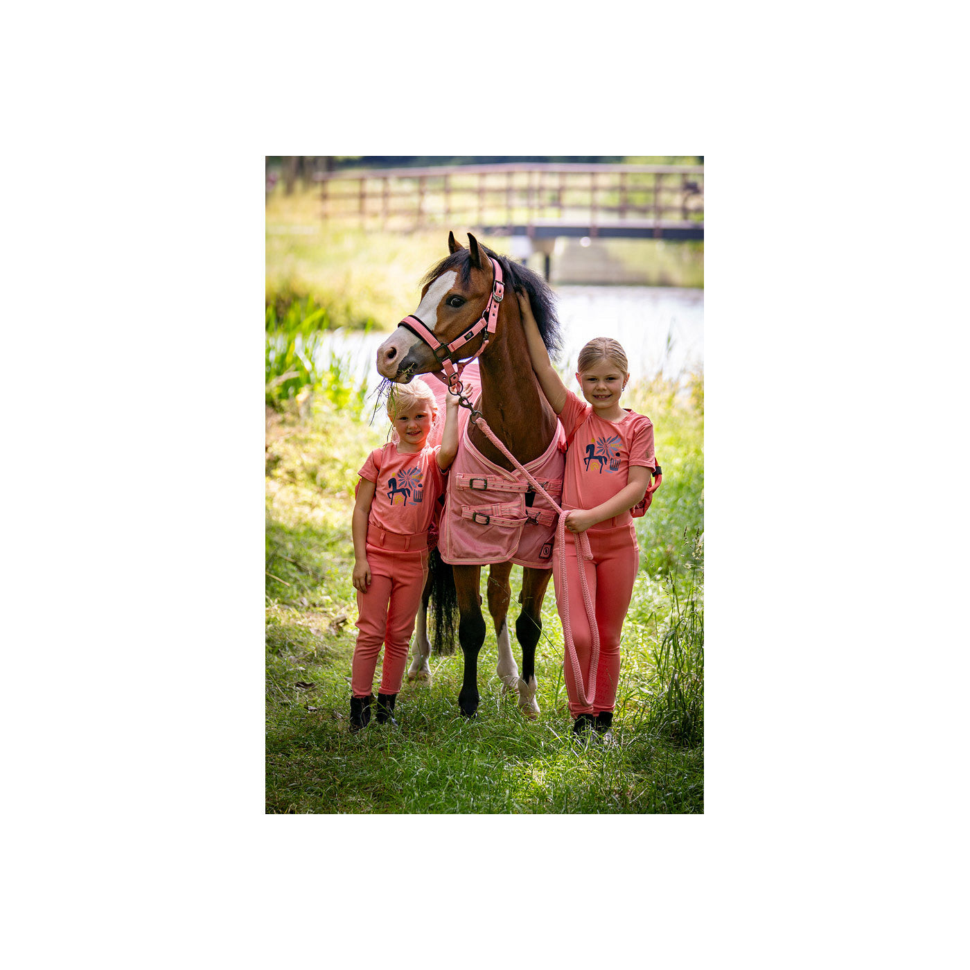 BR Mini-Horse Halter with Lead