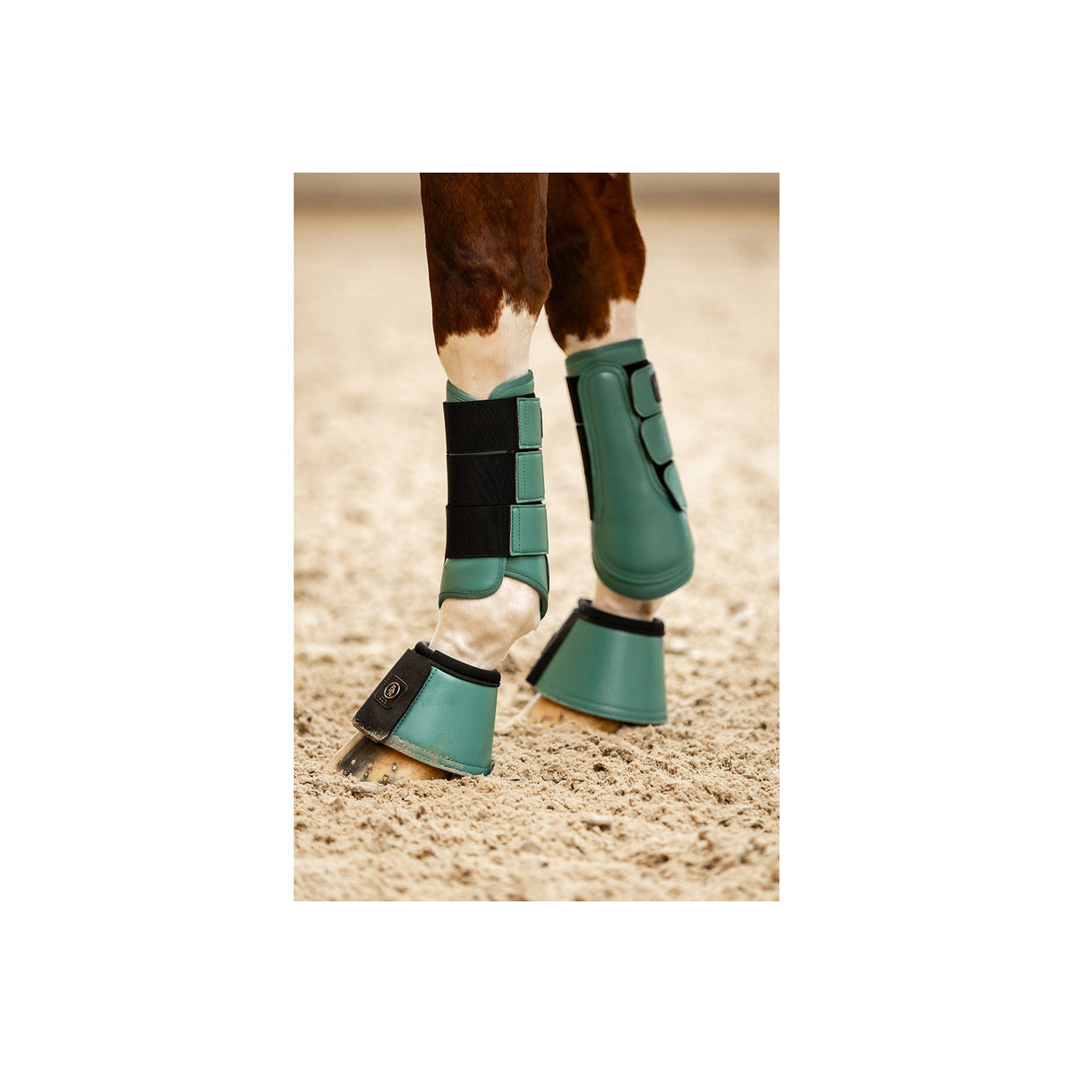 BR CLX Majestic Horse Boots
