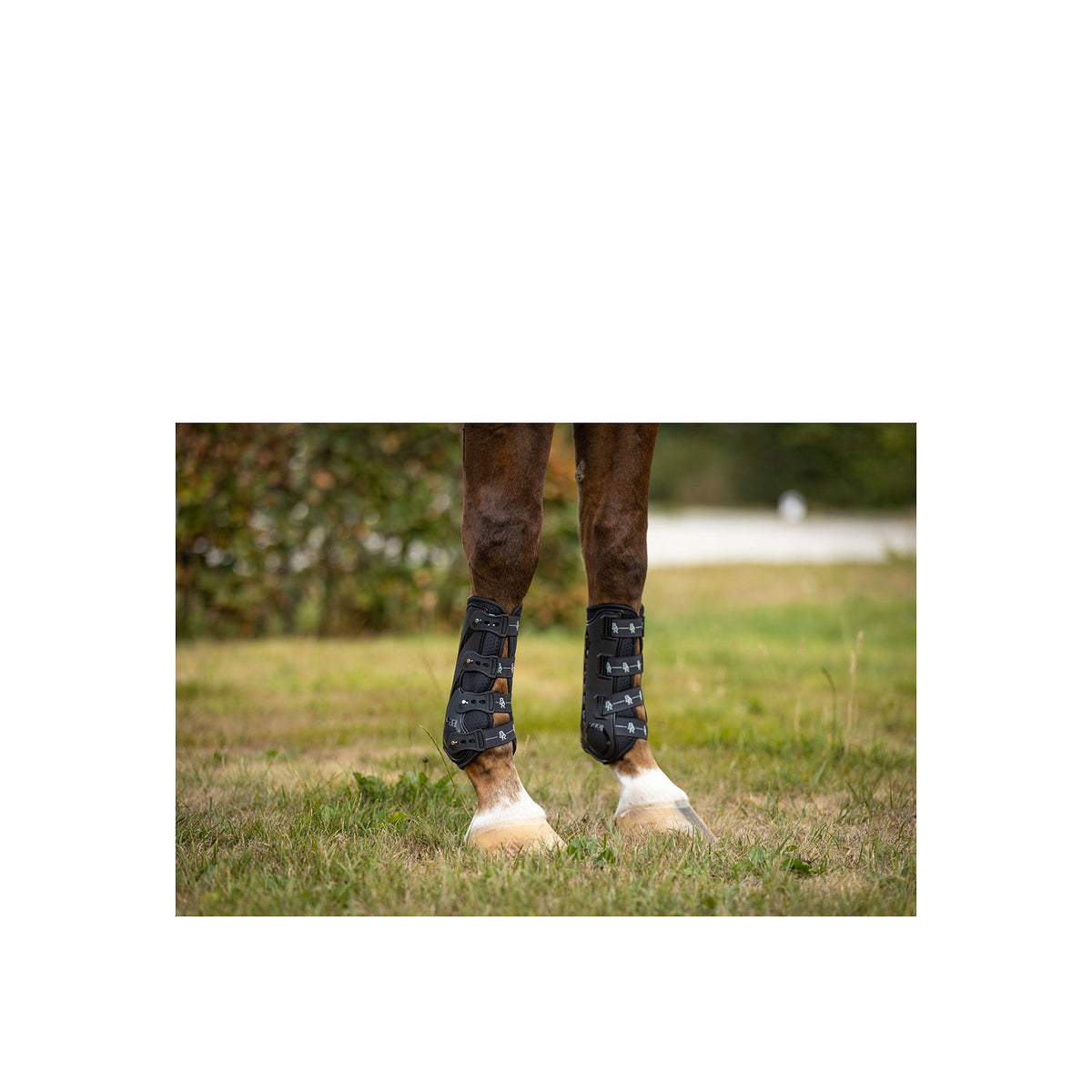 BR Tendon boots Country techfront w/air flow