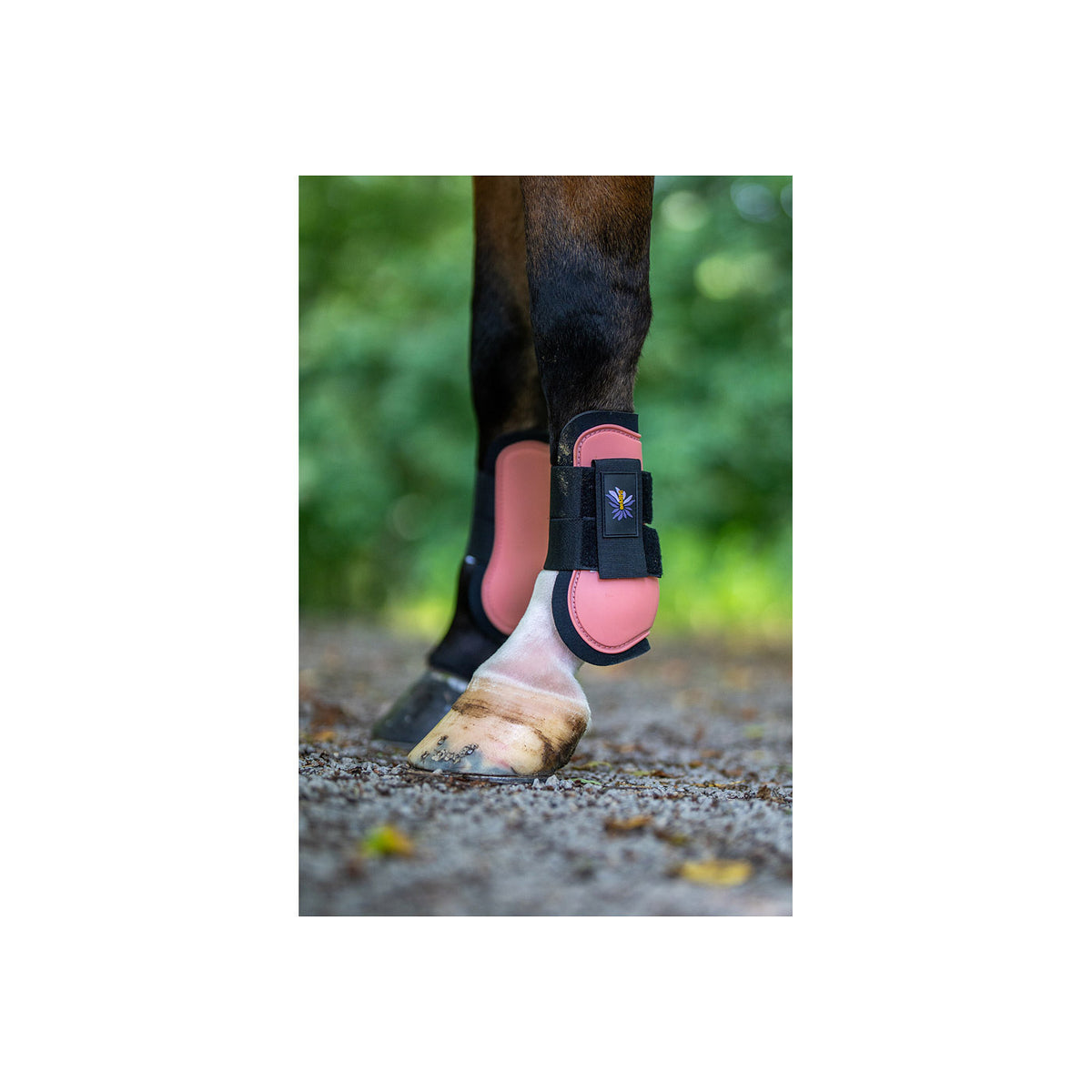 BR Mini Horse Tendon Boots