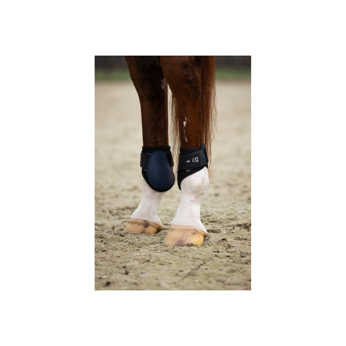 BR XO2 Fetlock Boots