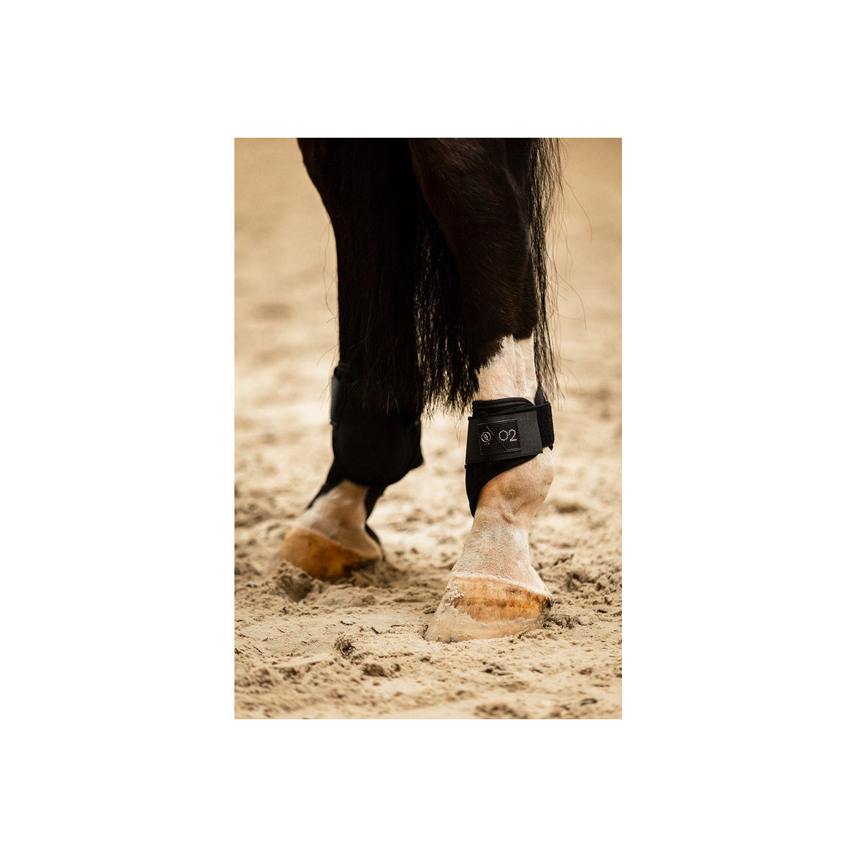 BR CLX XO2 Fetlock Boots