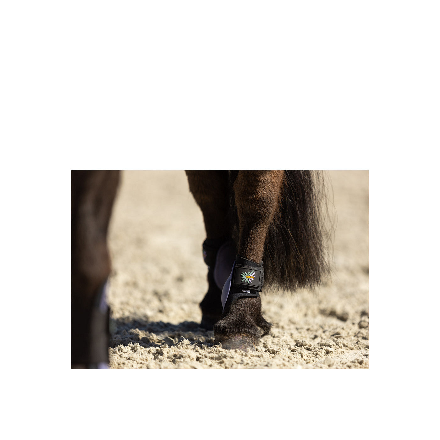 BR Mini Horse Fetlock Boots