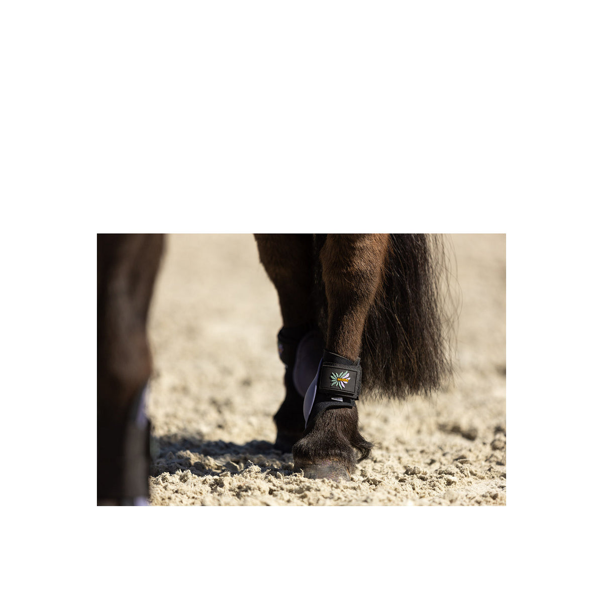 BR Mini Horse Fetlock Boots