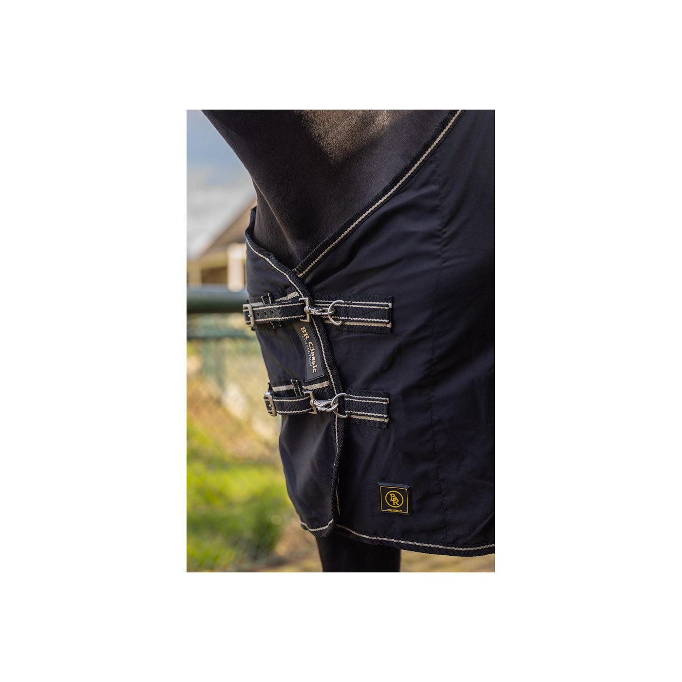 BR Rug Classic cotton