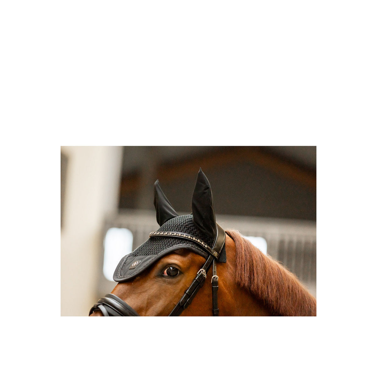 BR CLX Ear Bonnet