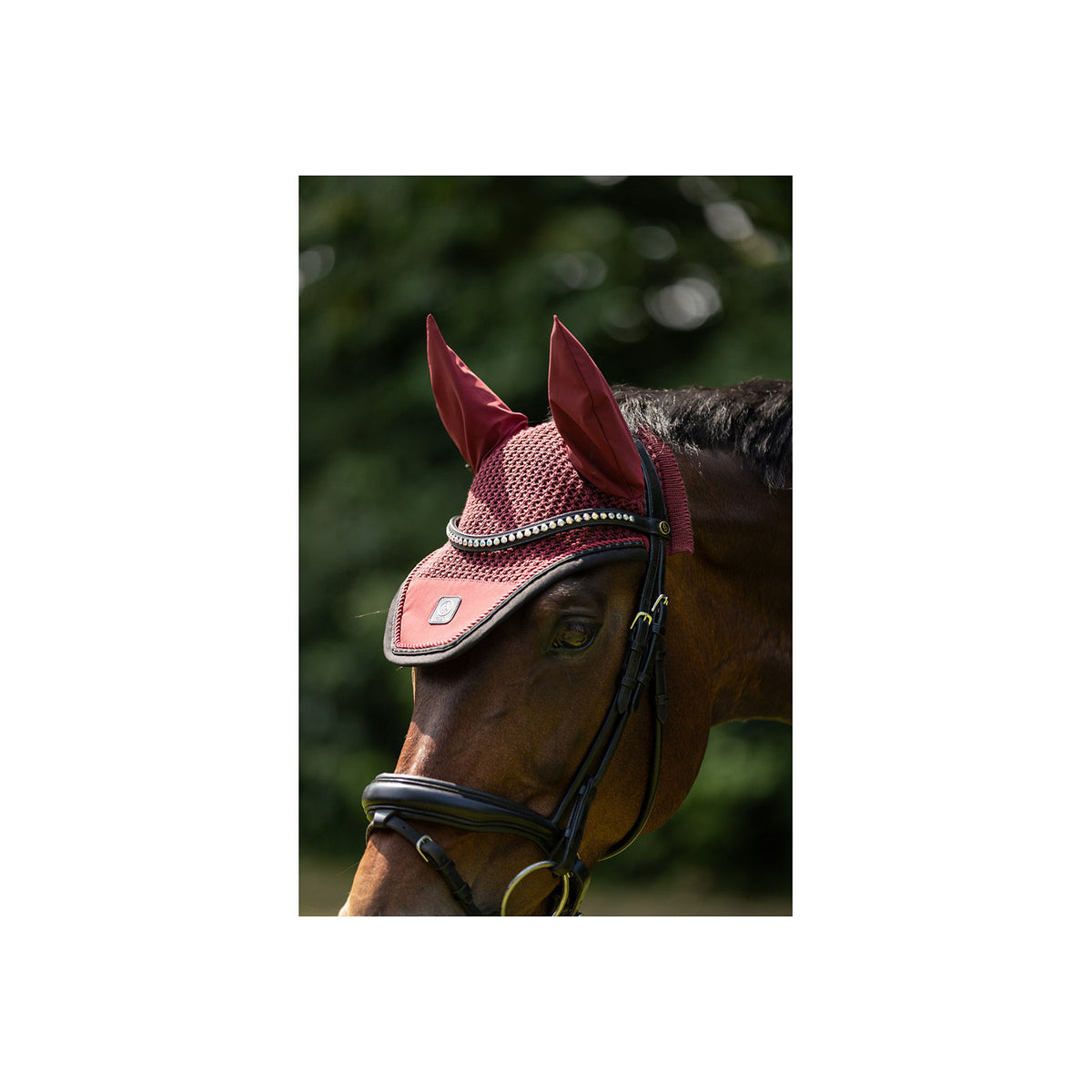 BR CLX Ear Bonnet