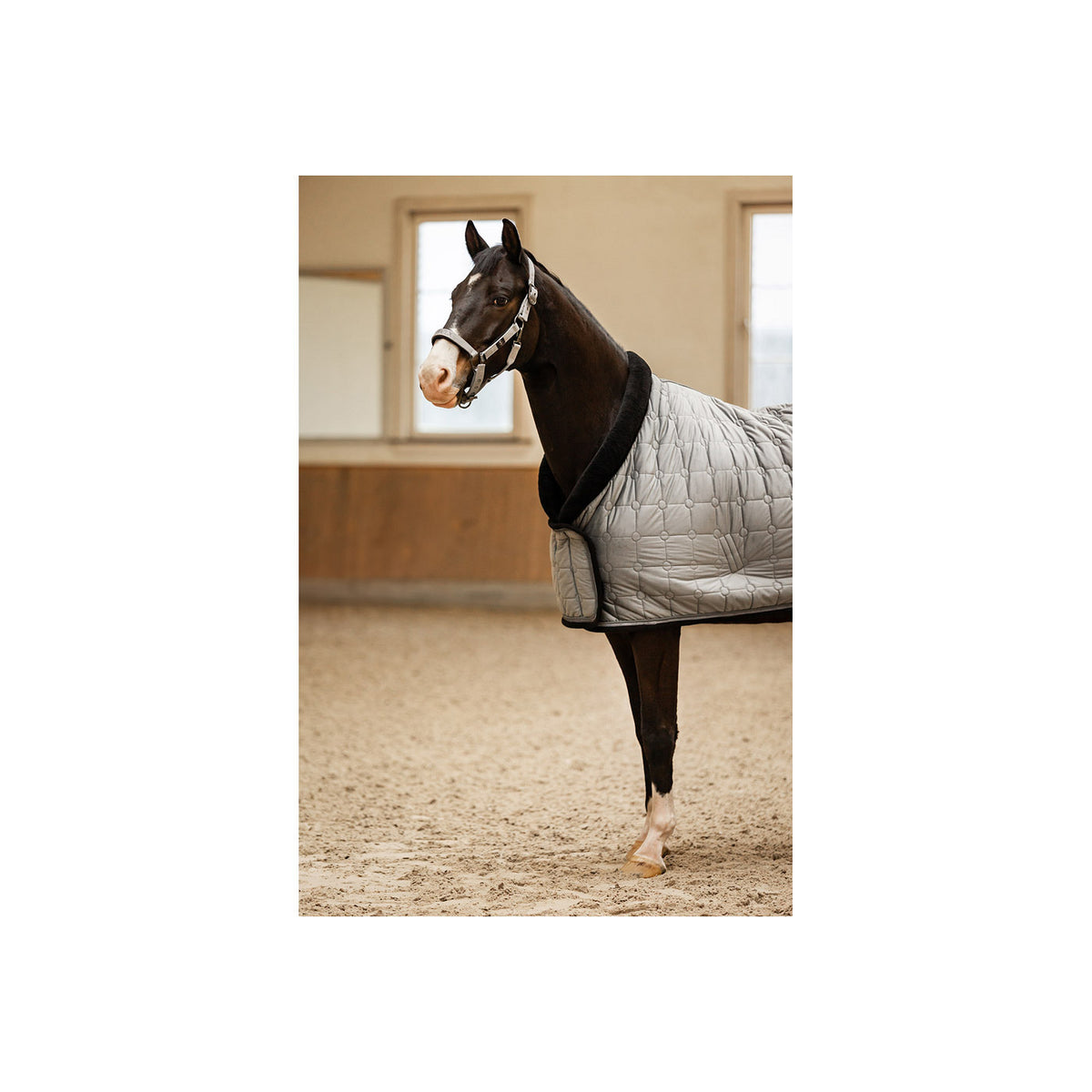 BR CLX Show Rug