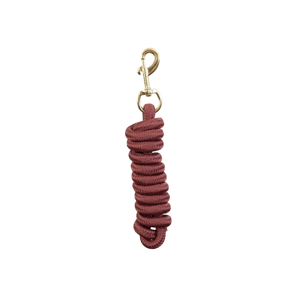 BR Lead Rope Snap Hook Brass