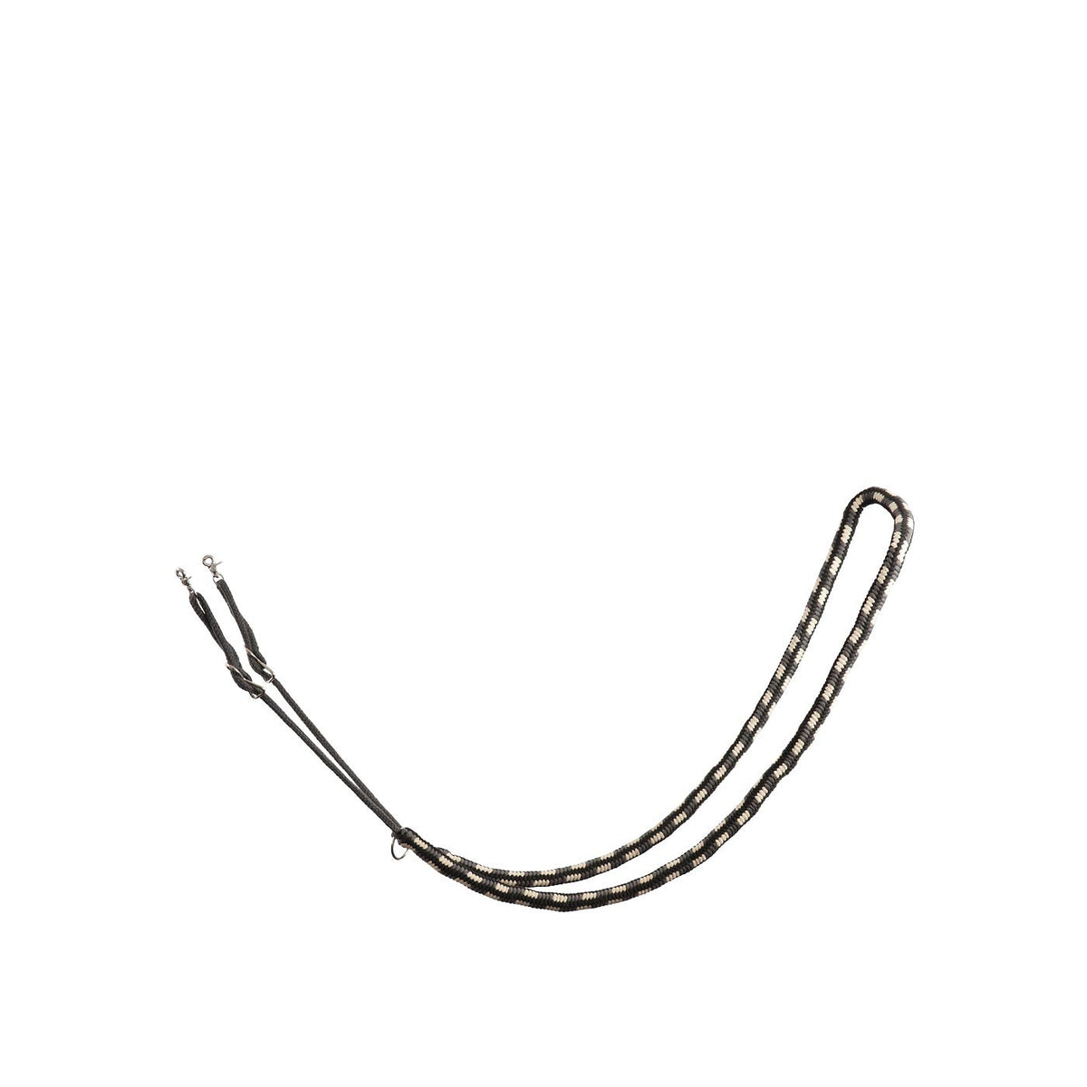 BR Lunging Aid
