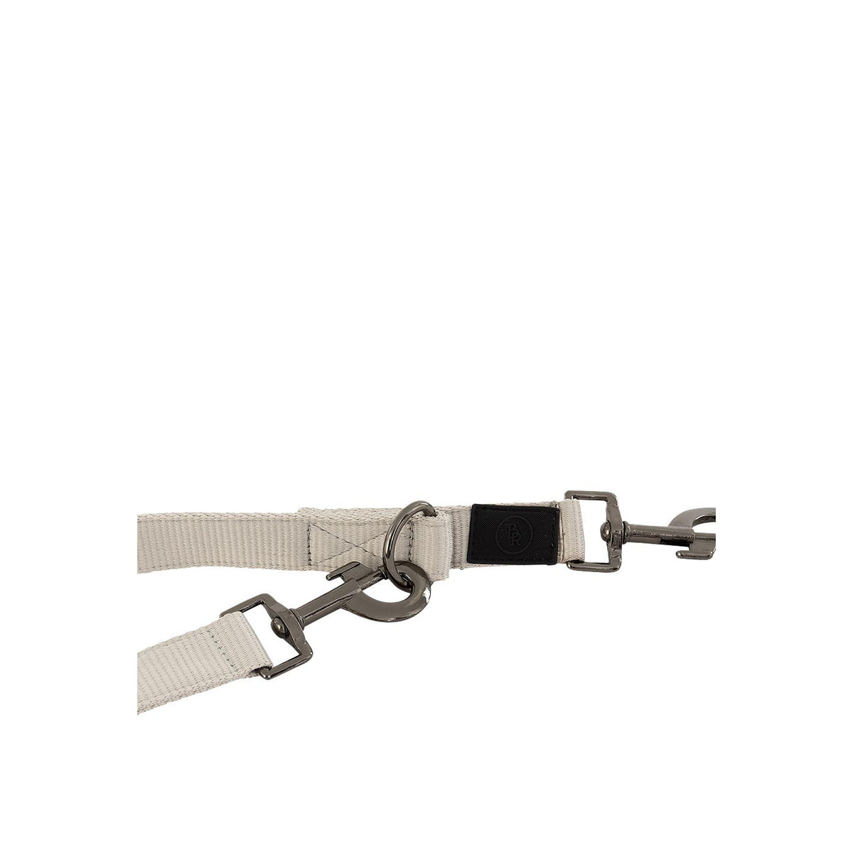 BR Dog Leash