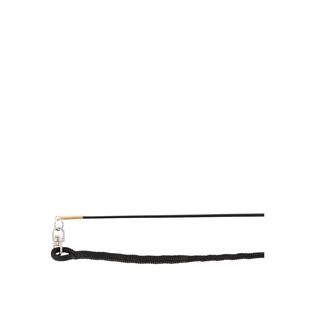 Premiere Lunging Whip Elara Telescopic, Lightweight