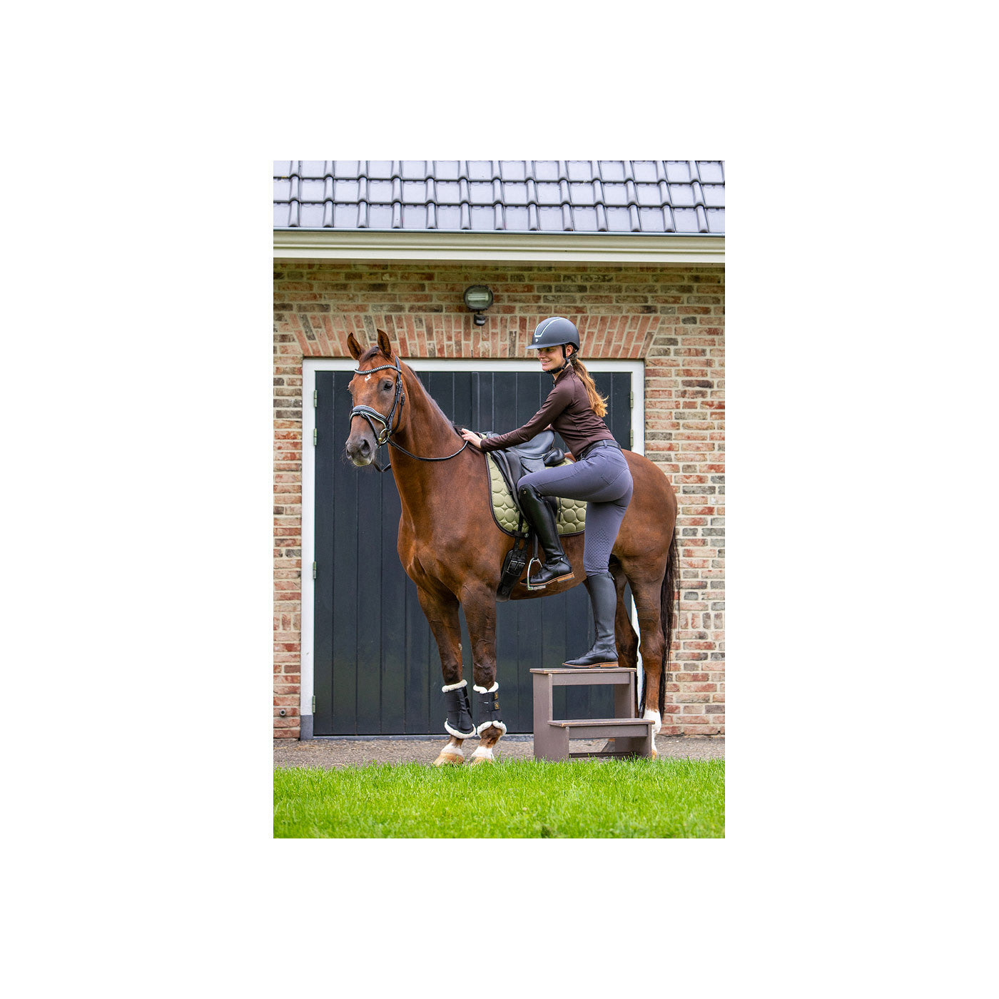 Reithelmet BR Omega painted w/carbon top side VG1