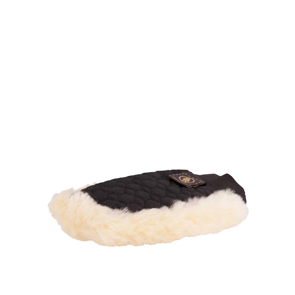 BR Grooming Glove