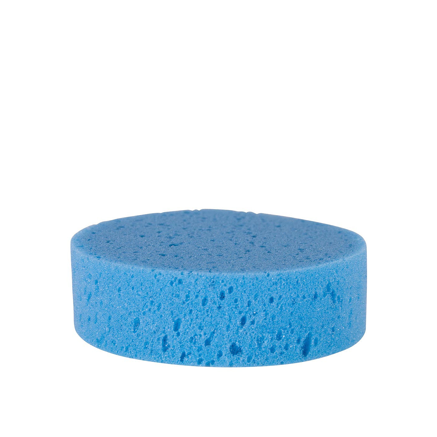 Premiere Sponge