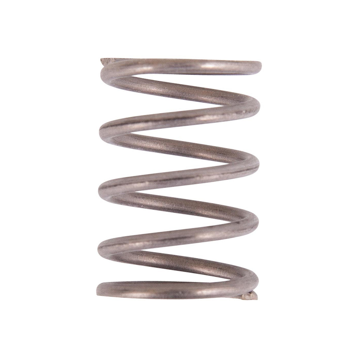 Valve Spring