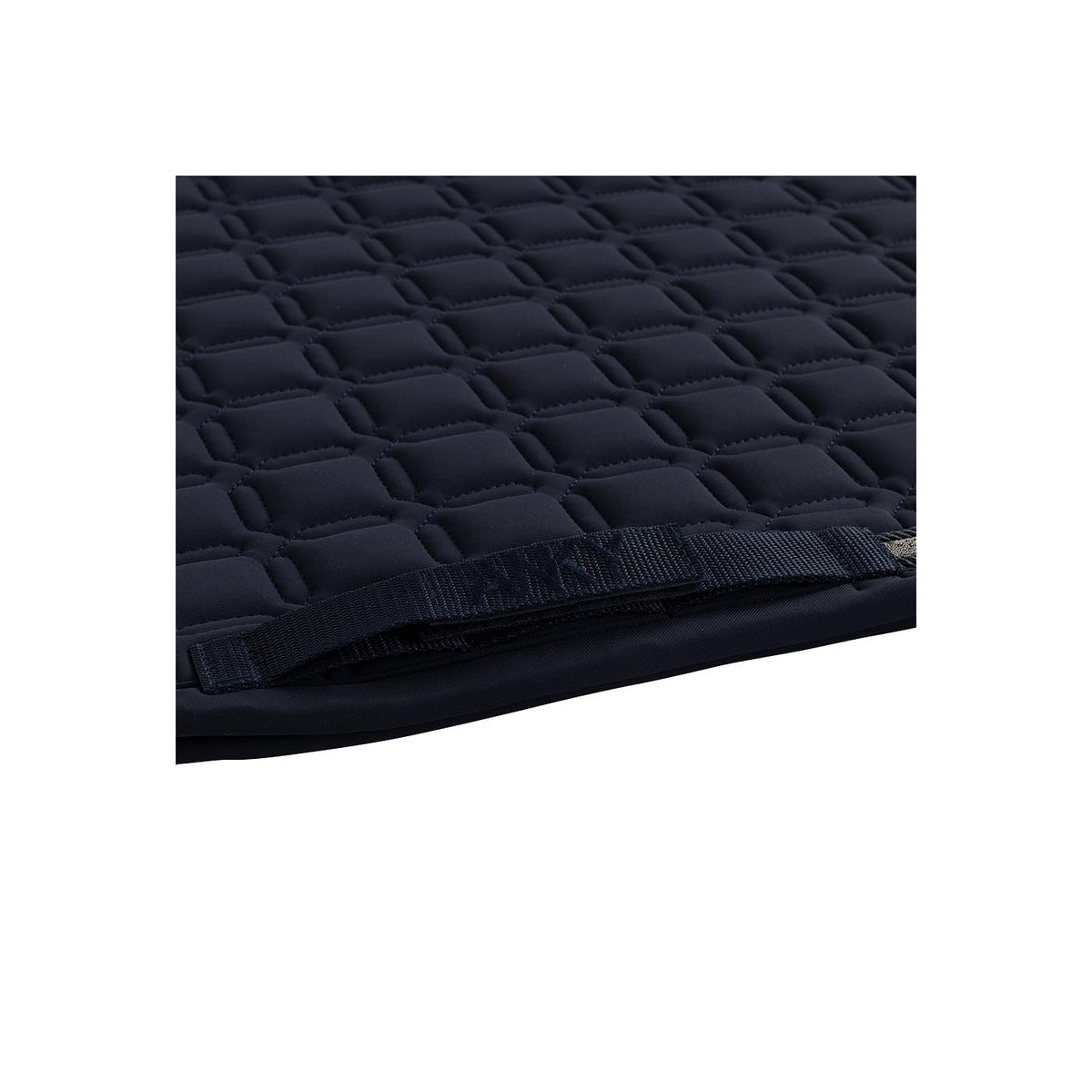 ANKY Pad XB24003 Luminous Nylon Dressage