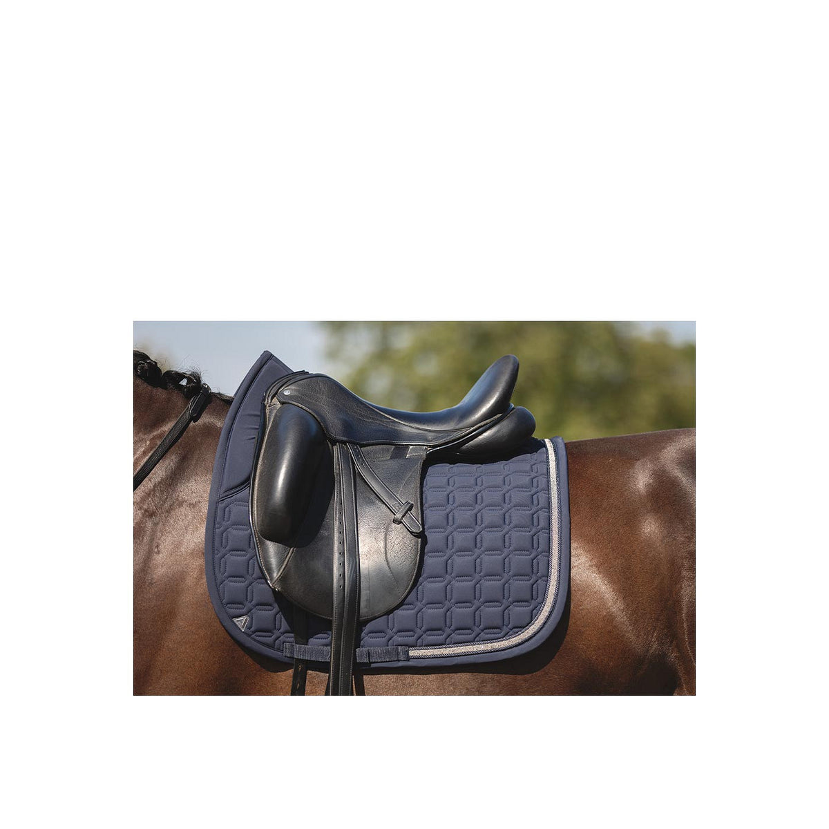 ANKY Pad XB24003 Luminous Nylon Dressage