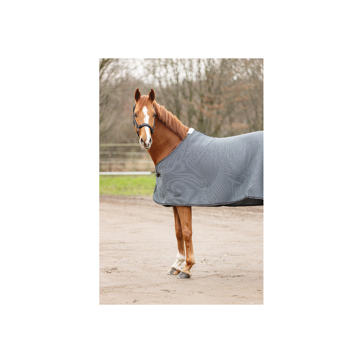 ANKY® Summer Travel Rug ATB25004