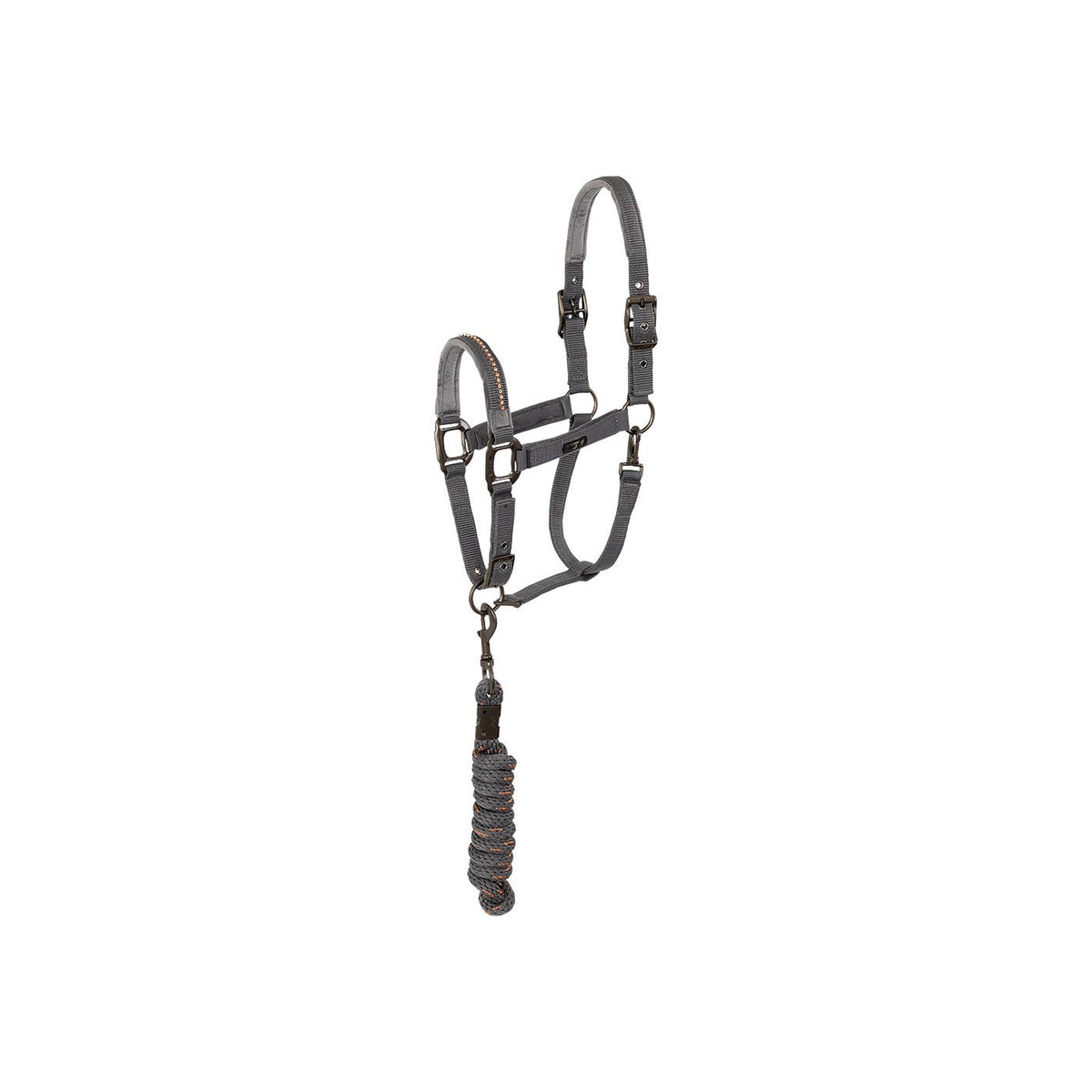 ANKY® halter and Lead stones ATH23001