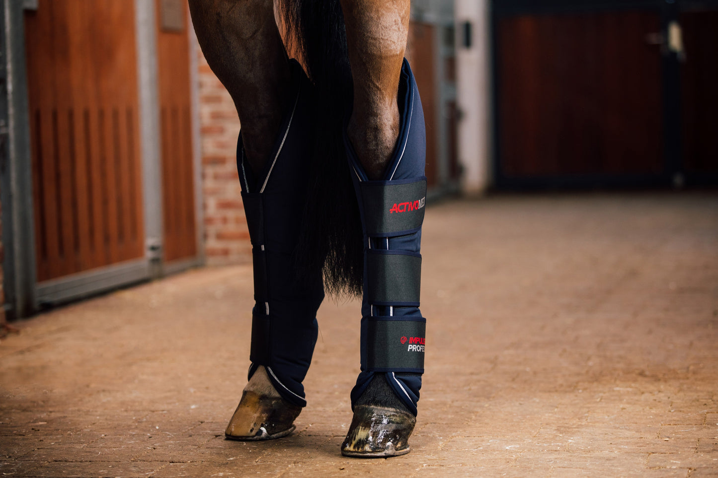 Professional Magnetic Leg Wraps - Hind Component