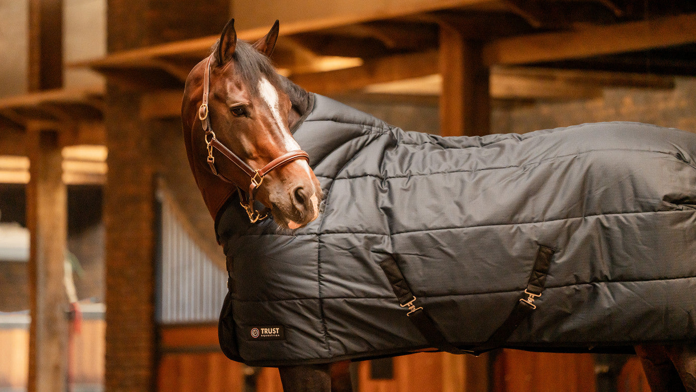 TRUST TETRIS stable rug 200 gsm