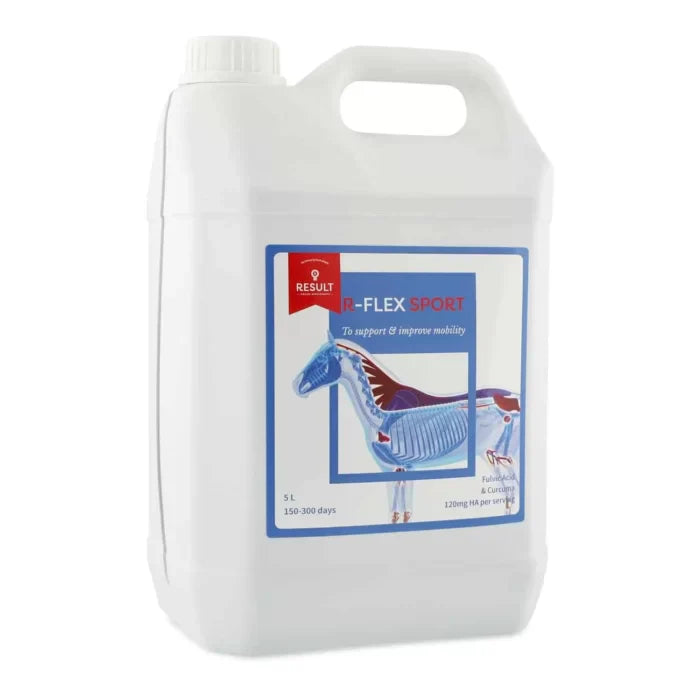 Horse and Balance Result Equine Mobility support