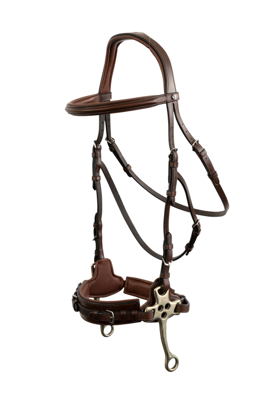 Sopot bridle