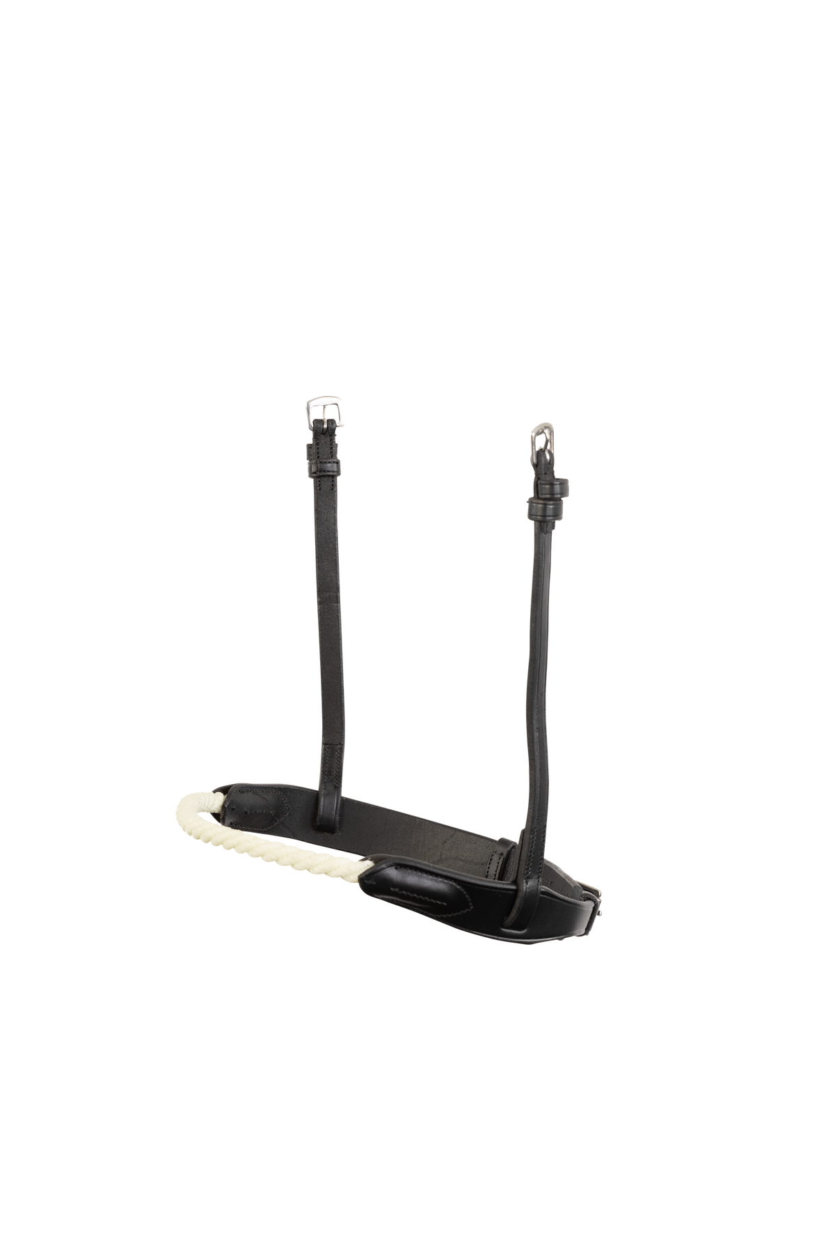TRUST Noseband St. Gallen