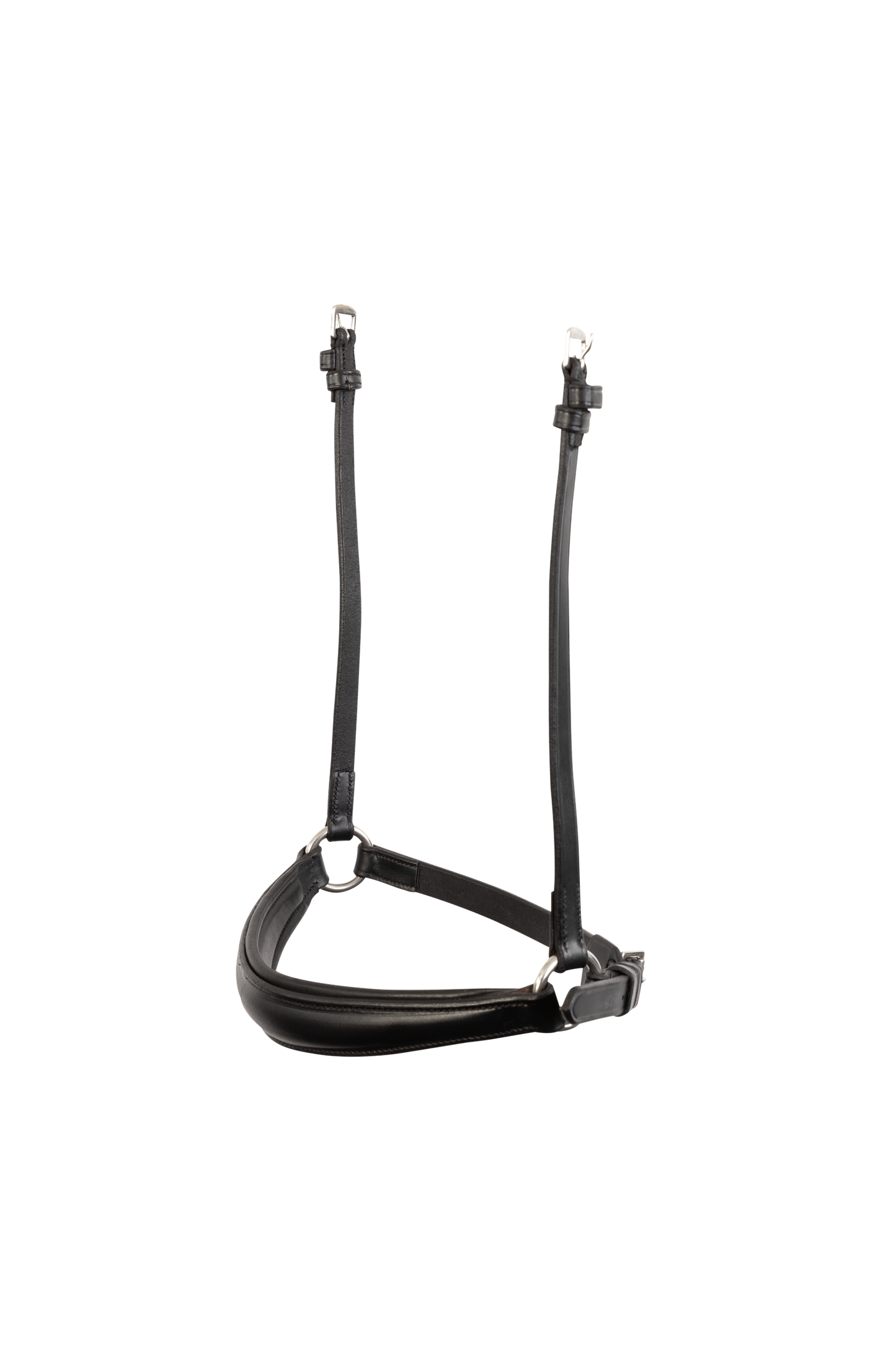 TRUST Noseband Rome