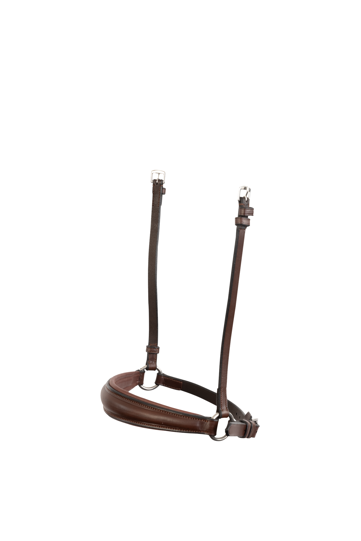 TRUST Noseband Rome