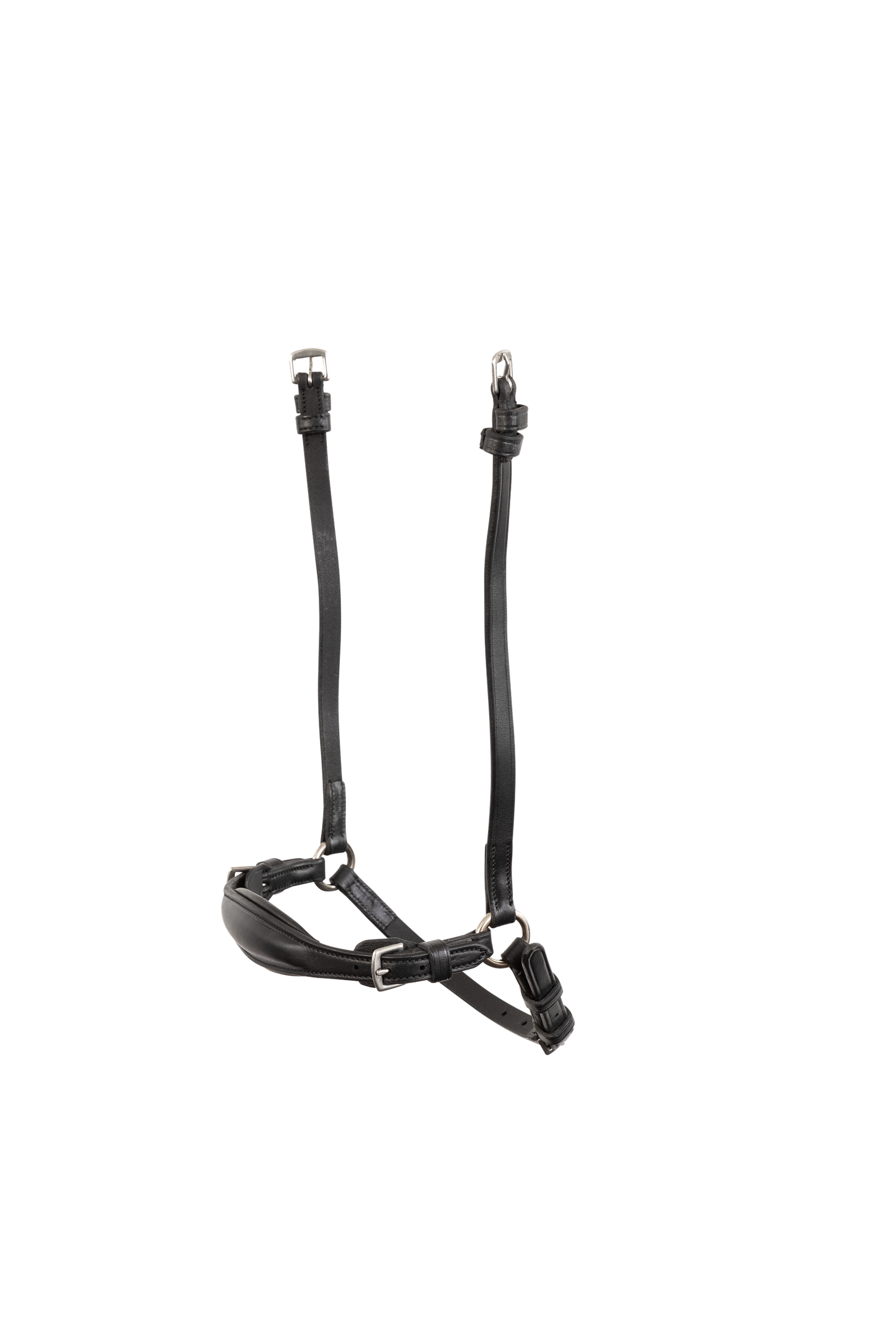 TRUST Noseband Barcelona