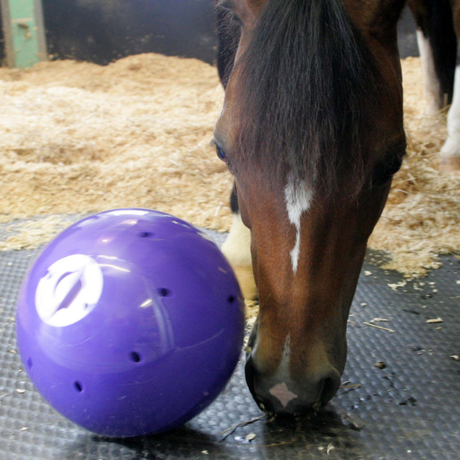 Horsetoys