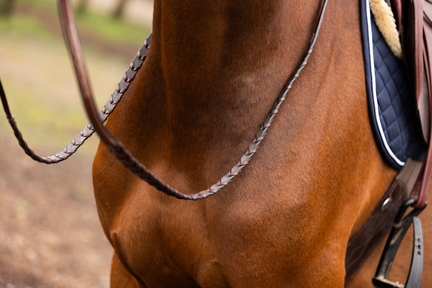 Reins