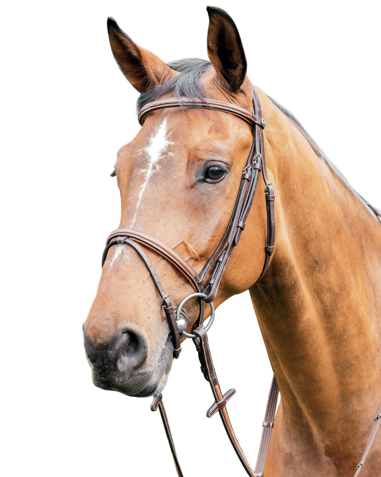 Horse and Balance Prestige English bridle