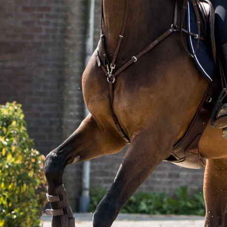 Breastplates & Martingales