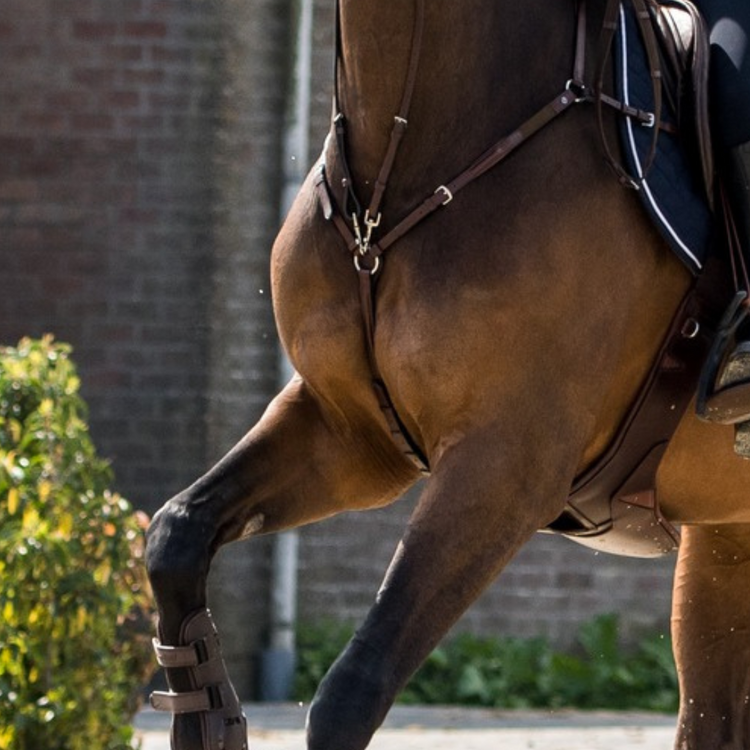 Breastplates & Martingales