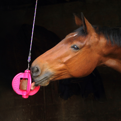 Horse Treats