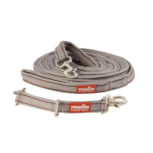 Lunging & Accessories