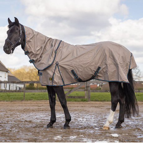 Rain Rug