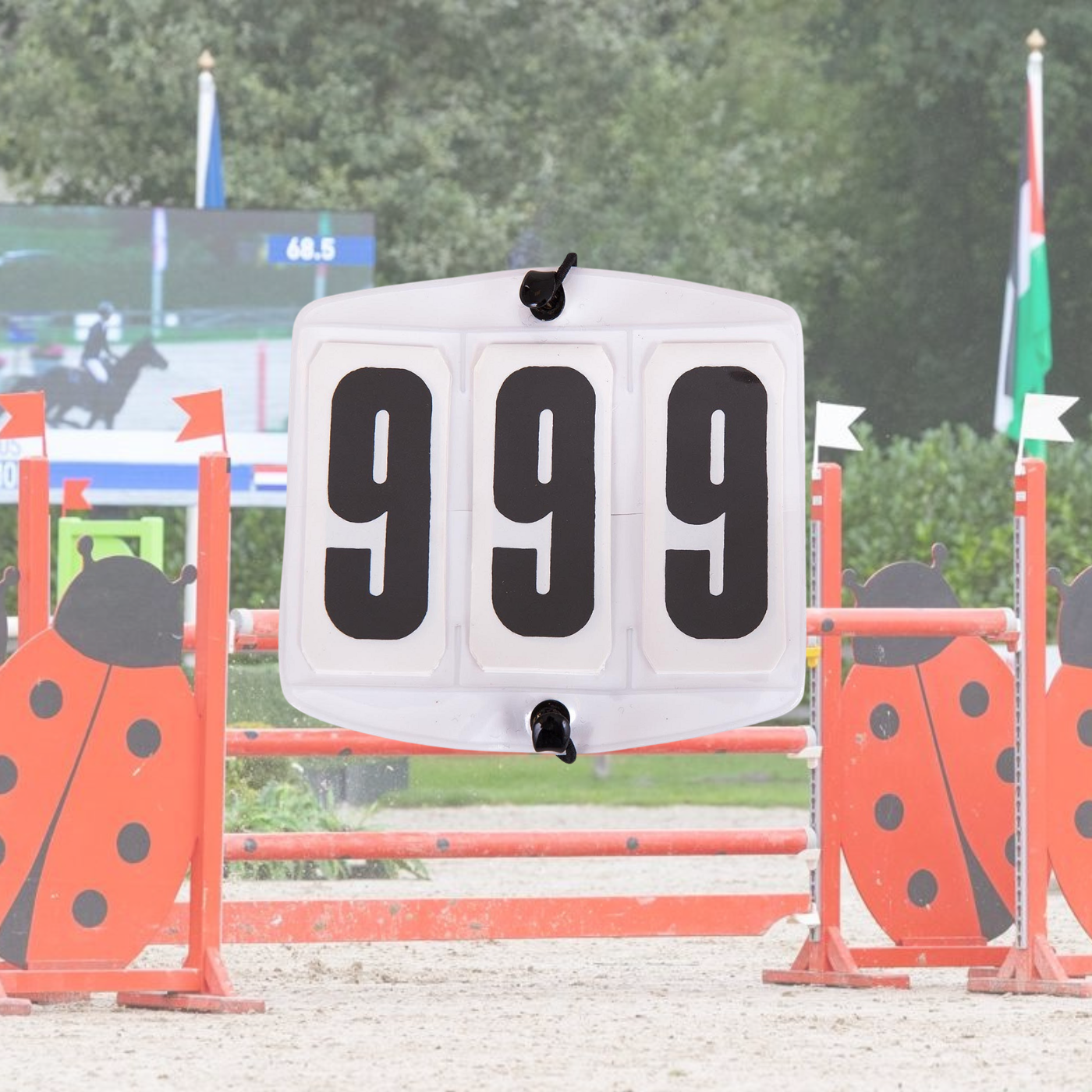 Competition Numbers
