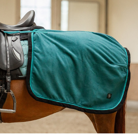 Exercise Rug