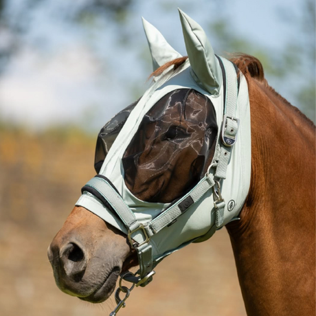 All Flymask
